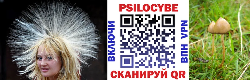 Псилоцибиновые грибы MAGIC MUSHROOMS Ува